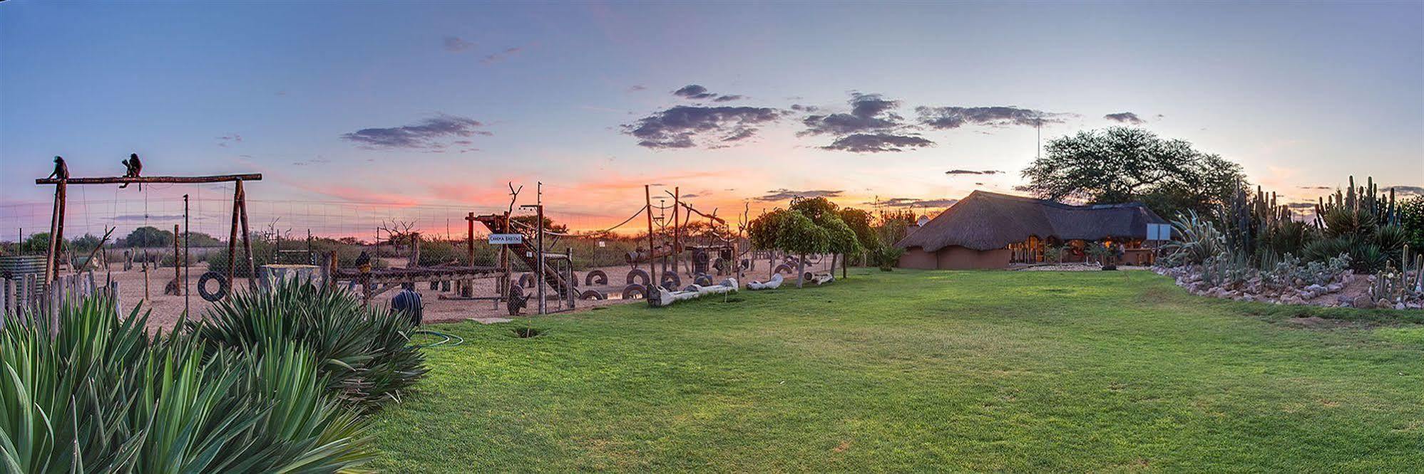 Harnas Wildlife Foundation Gobabis Exteriör bild